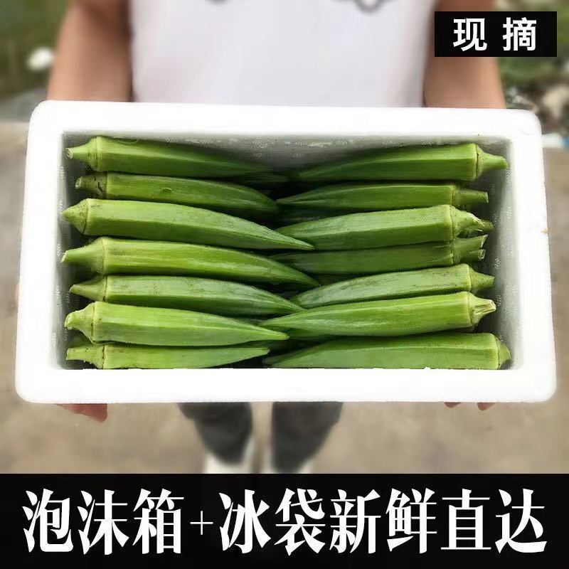 下单秒发 头茬新鲜秋葵农家蔬菜料理食材黄秋葵六角豆当季水果5斤