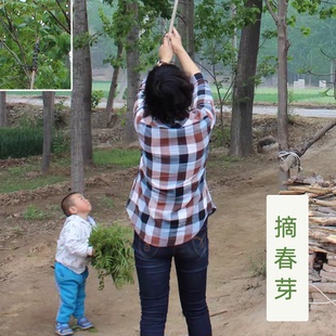 相框加配图片洗照片 冲印手机像片 任意尺寸激光片 补运费补差价