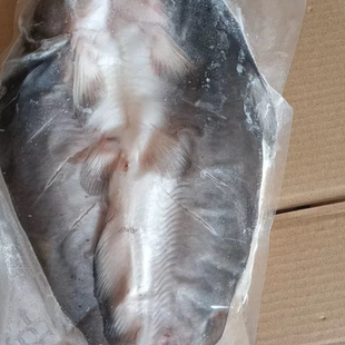 高品质开背鮰鱼商用鲜活冷冻烤鱼半纸包江团整箱调味清江鱼烧烤