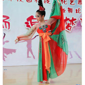 唐印舞蹈服古典舞演出服女汉唐舞表演服民族飘逸中国风开场舞服装