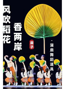 风吹稻花香两岸舞蹈服儿童女中国舞致敬袁隆平红色记忆经典演出服