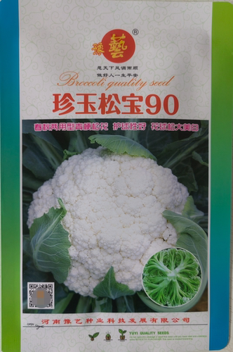 珍玉松宝春秋两用豫艺松花菜种子