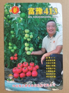 豫艺富豫413大果口感精品番茄种子 抗TY高产口感好硬度好1000粒