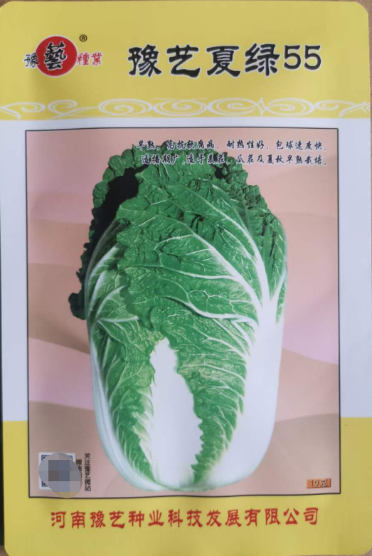 豫艺夏绿55早熟适播期广
