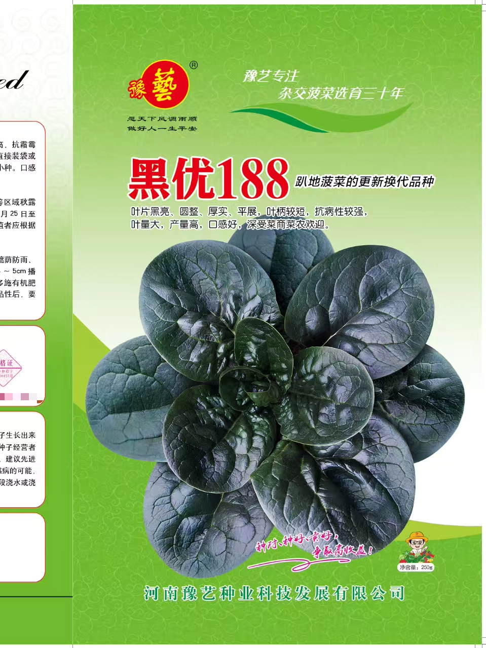 豫艺黑优188趴地菠菜种子 大圆叶色泽黑产量高抗病性好 250克/袋