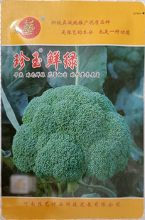 豫艺珍玉鲜绿西兰花种子 早熟 球色鲜绿 球形整齐度高1700粒/袋