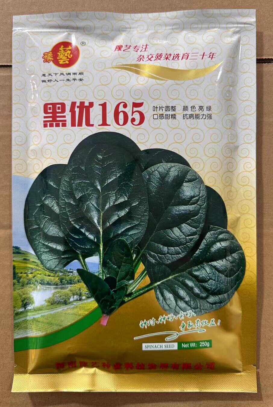 豫艺种业 黑优165菠菜种子 叶片圆整 颜色亮绿 抗病能力强250g