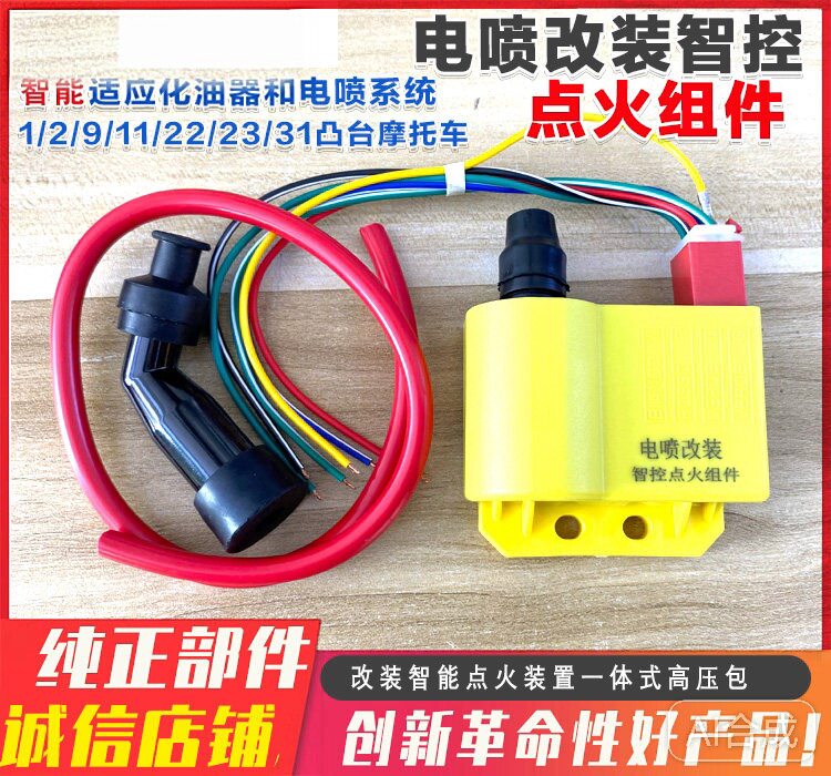 摩托车电喷改装化油器智能高压包点火器化油器不用换磁钢整套配件
