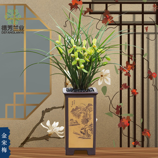 德芳兰业兰花苗带花苞春兰金宋梅开花浓香型室内好养花卉绿植基地