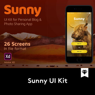 超精美摄影照片分享博客交友社区APP UI套件SKETCH模板PS设计素材