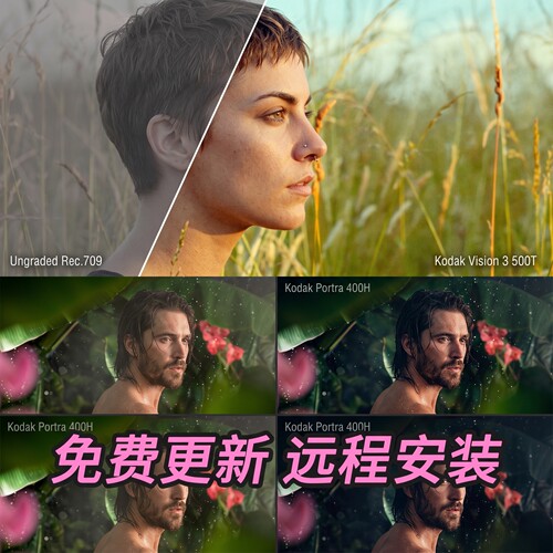 胶片模拟视频调色插件 Dehancer Pro + 达芬奇/Fcpx 中文字幕教程