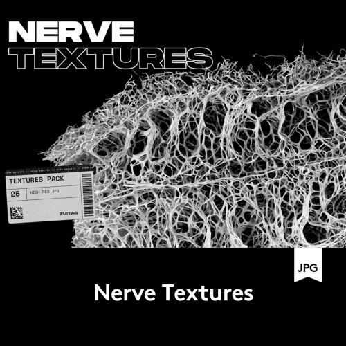 Nerve Textures 25款高清有机海绵纤维海报设计背景纹理图片素材