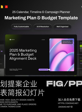 25页项目策划提案企业报表发布会演讲稿幻灯片设计ppt/figma模板