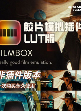 46组复古电影美学胶片模拟LUT调色预设(非插件)+Dctl Filmbox LUT