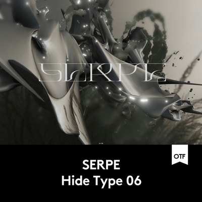 潮流锋利海报标题徽标Logo文字设计衬线英文字体素材 F2020120503