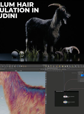 Houdini Vellum动物毛发模拟建模照明渲染系统教程 中文字幕