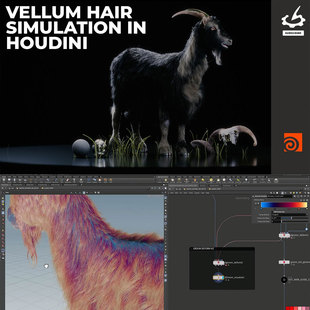 Houdini Vellum动物毛发模拟建模照明渲染系统教程 中文字幕