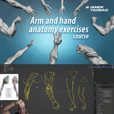 Blender手臂手部肌肉结构建模雕刻教程 中英文字幕