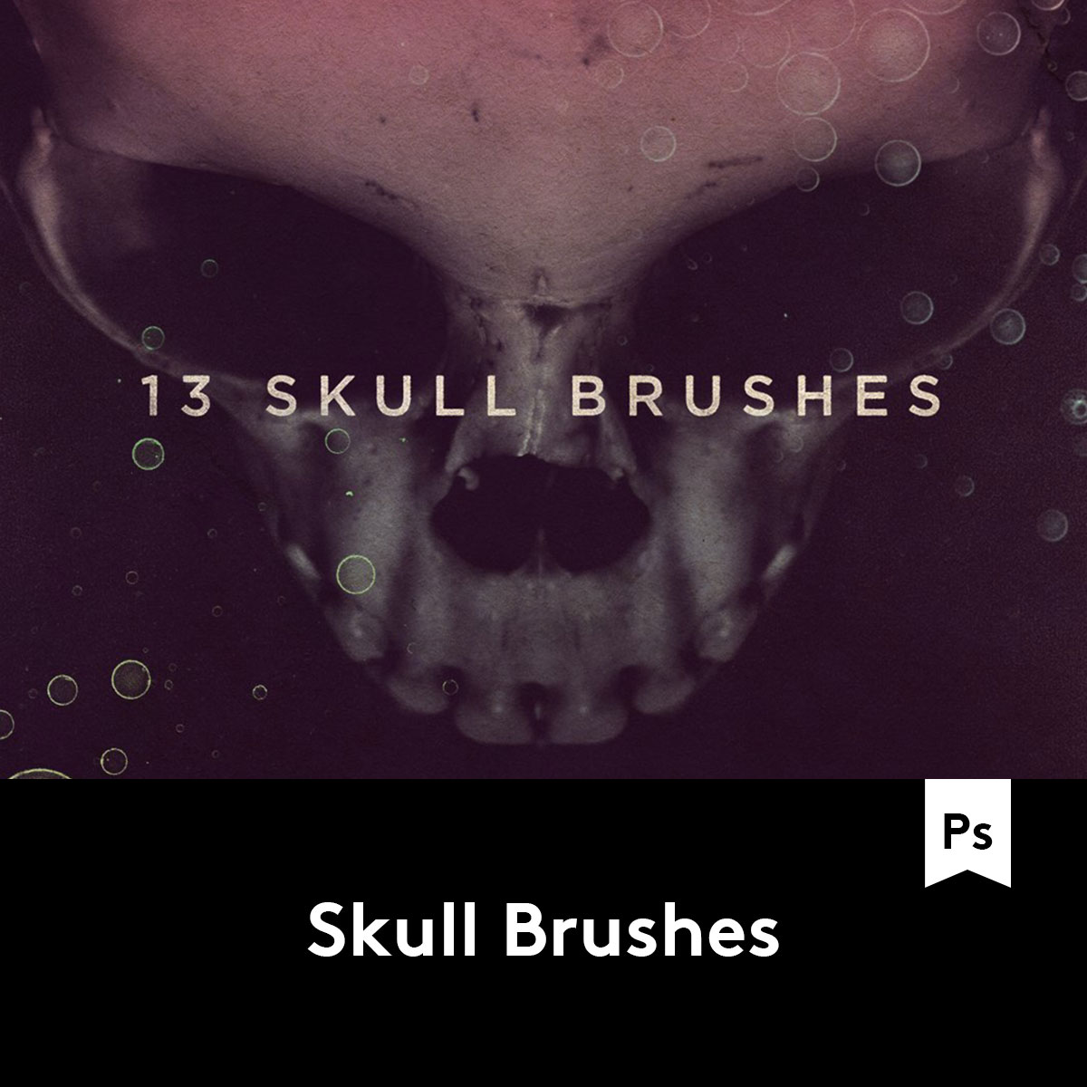 Skull Brushes 13款高清晰度骷髅效果PS笔刷 B2020032701