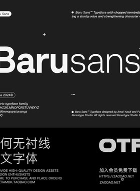 Baru 18款字重几何风品牌海报杂志标识品牌logo设计无衬线字体