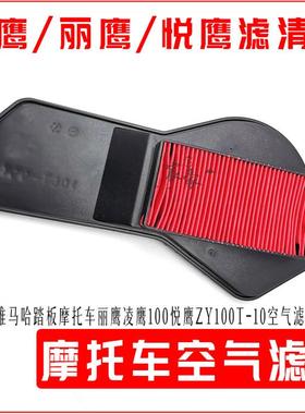 雅马哈踏板摩托车丽鹰凌鹰悦鹰100ZY100T-10-12-13空气滤芯空滤器