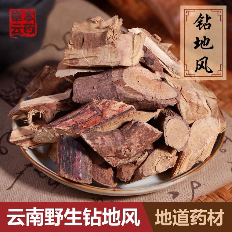 正宗野生钻地风祛湿王精选无硫钻地风云南中药材新货无硫钻地风