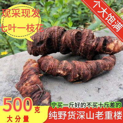 正宗云南野滇重楼新鲜生七叶一枝花蚤休独脚莲正品丁毒豆草河车灯