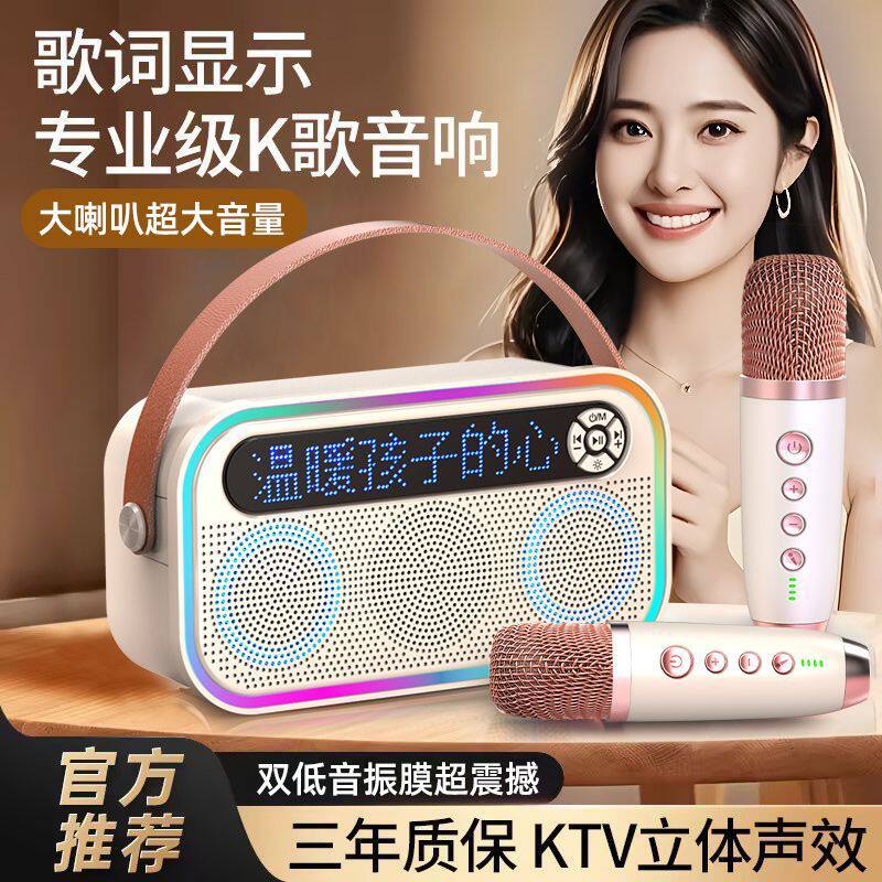 麦克风话筒小音响蓝牙宝