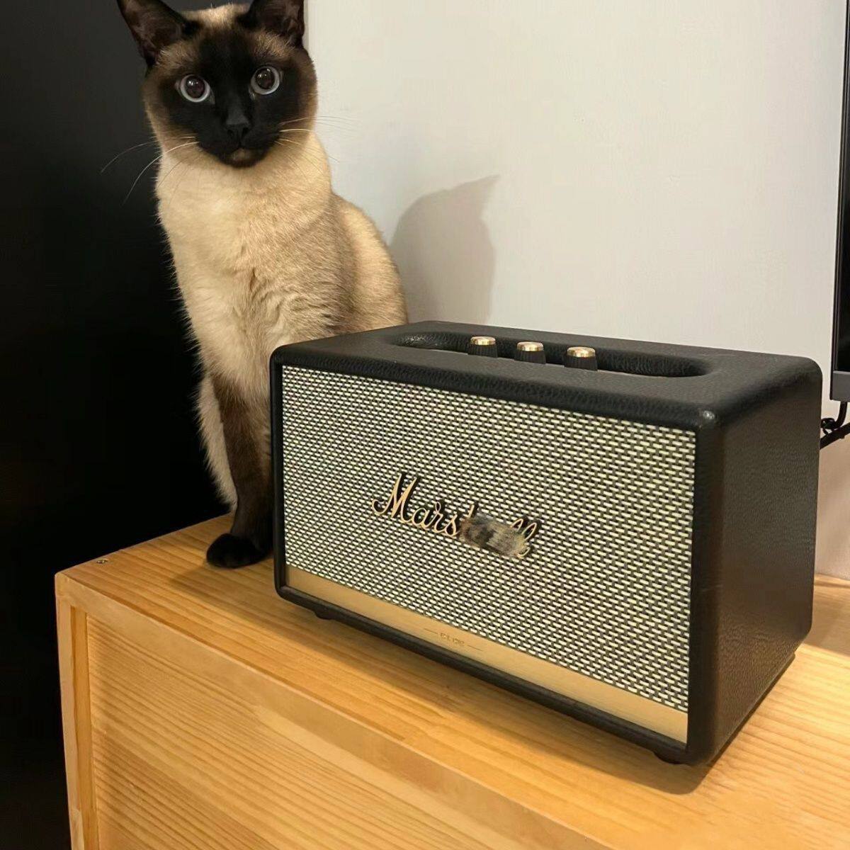 华强北顶配无线ACTON2蓝