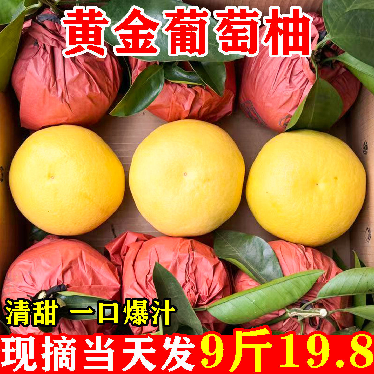 正宗福建黄金葡萄柚柚子当季正新鲜文旦西柚平和现摘水果当季整箱