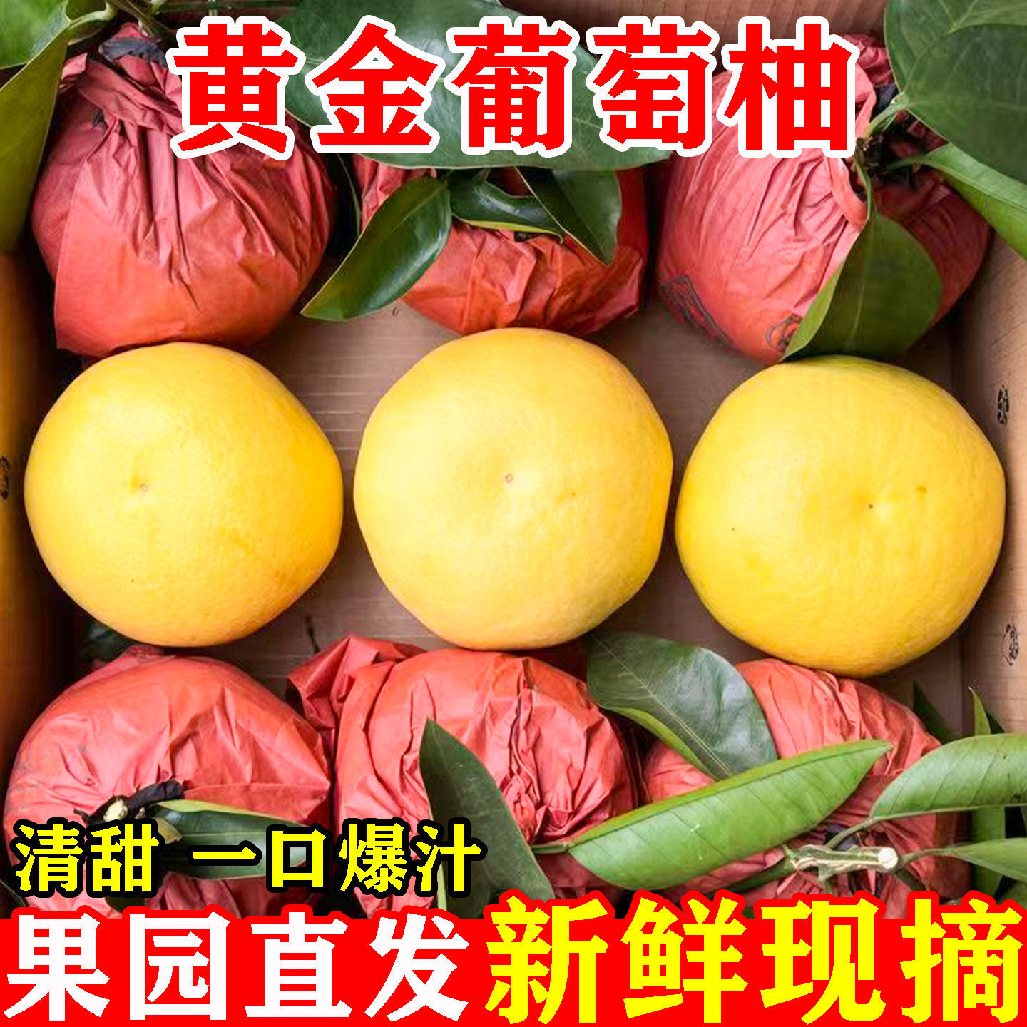 【黄金葡萄柚】清甜爆汁
