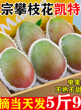 攀枝花凯特芒芒果新鲜大果10斤树熟当季水果酸甜贵青妃水金仙煌玉