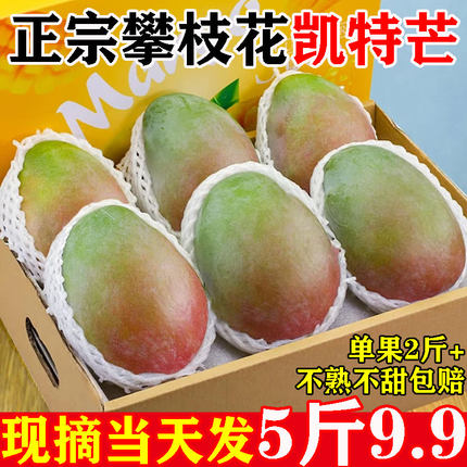 攀枝花凯特芒芒果新鲜大果10斤树熟当季水果酸甜贵青妃水金仙煌玉