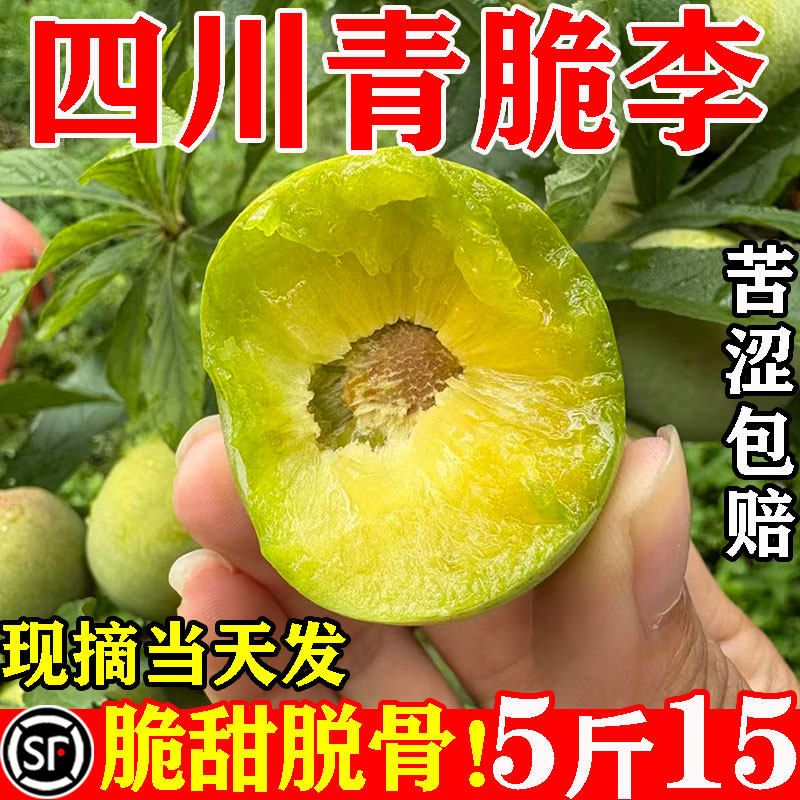 【15.8/5斤】脆甜青脆脱骨李