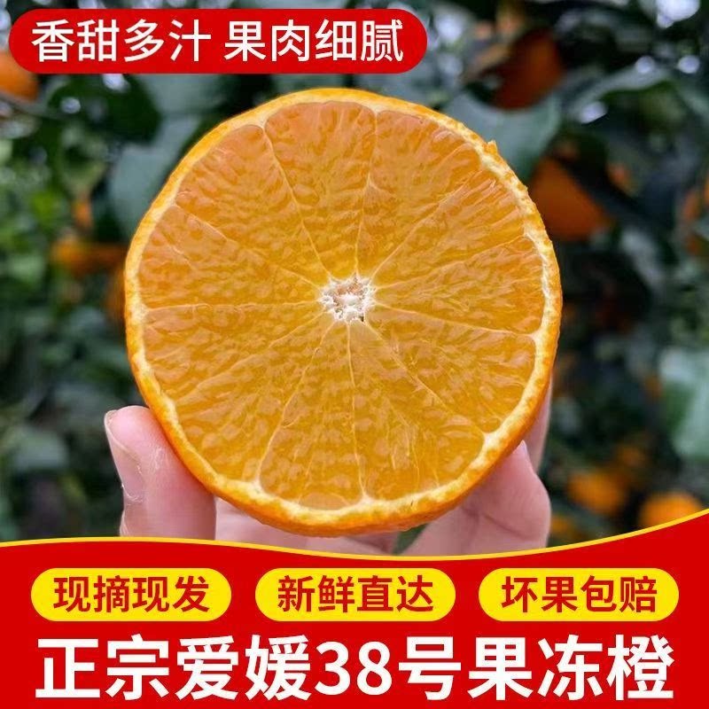 【正宗爱媛38果冻橙】10斤