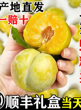 【59/5斤】纯甜蜂糖李顺丰当天发