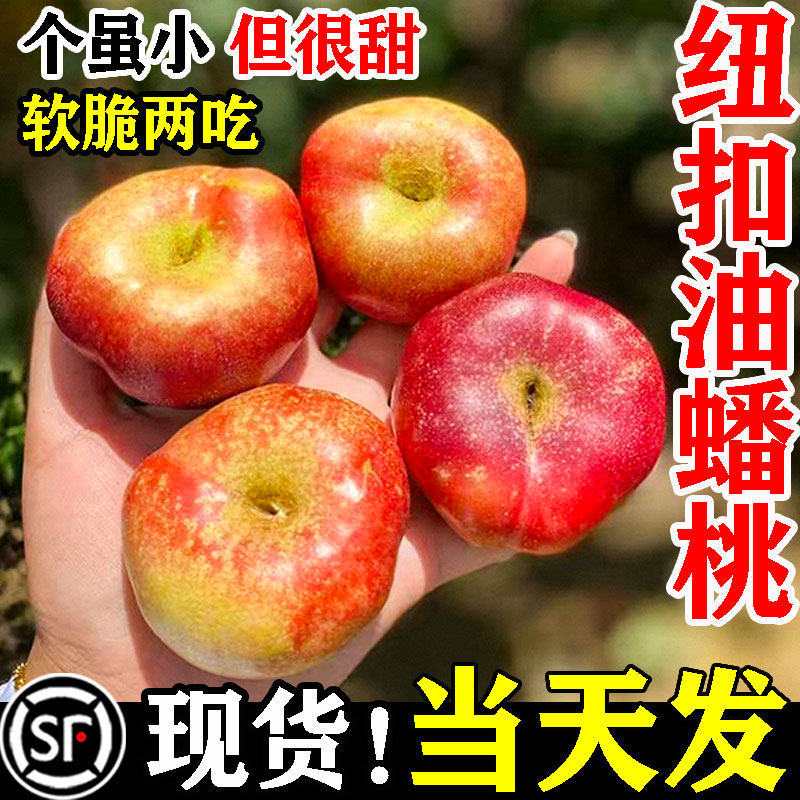 纽扣油蟠桃桃子水果应当季整箱特产时令脆蜜桃山东现摘现发红孕妇