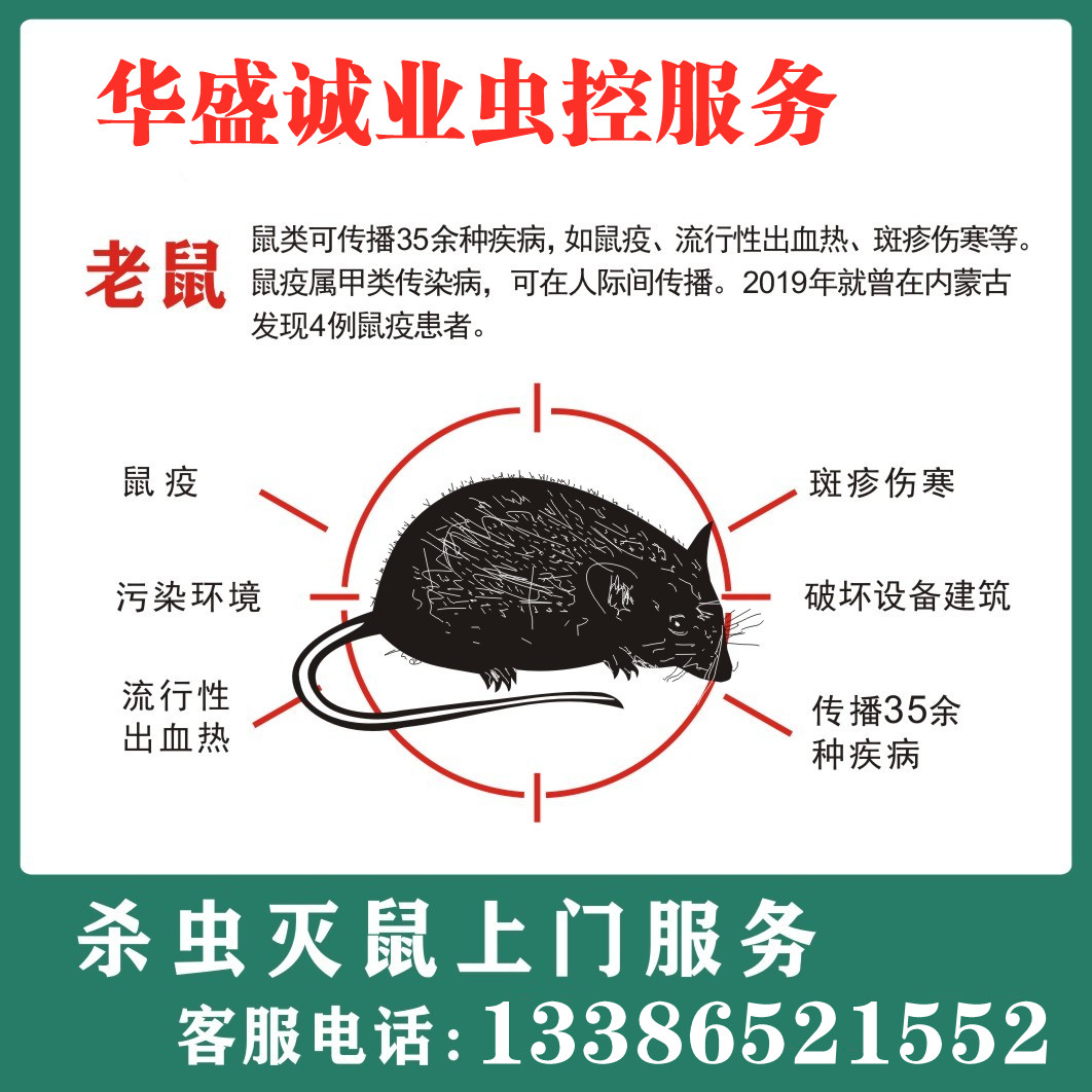 杭州上门灭鼠服务专业除鼠消杀除灭鼠笼/捕鼠器