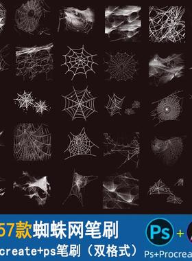 蜘蛛网procreate笔刷ps笔刷手绘蜘蛛网蛛丝ipad绘画点缀装饰素材