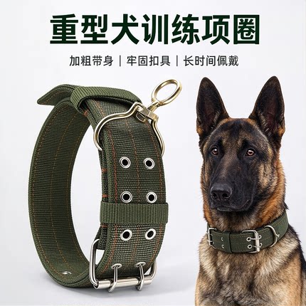 狗项圈中大型犬结实金毛马犬宠物狗脖圈狗颈圈小型犬狗脖套狗头套