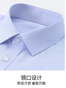 中原银行假领子衬衫 饰领免烫蓝色 男女通用河南信阳百搭毛衣条纹装