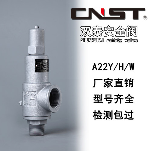 双泰全启式丝扣安全阀