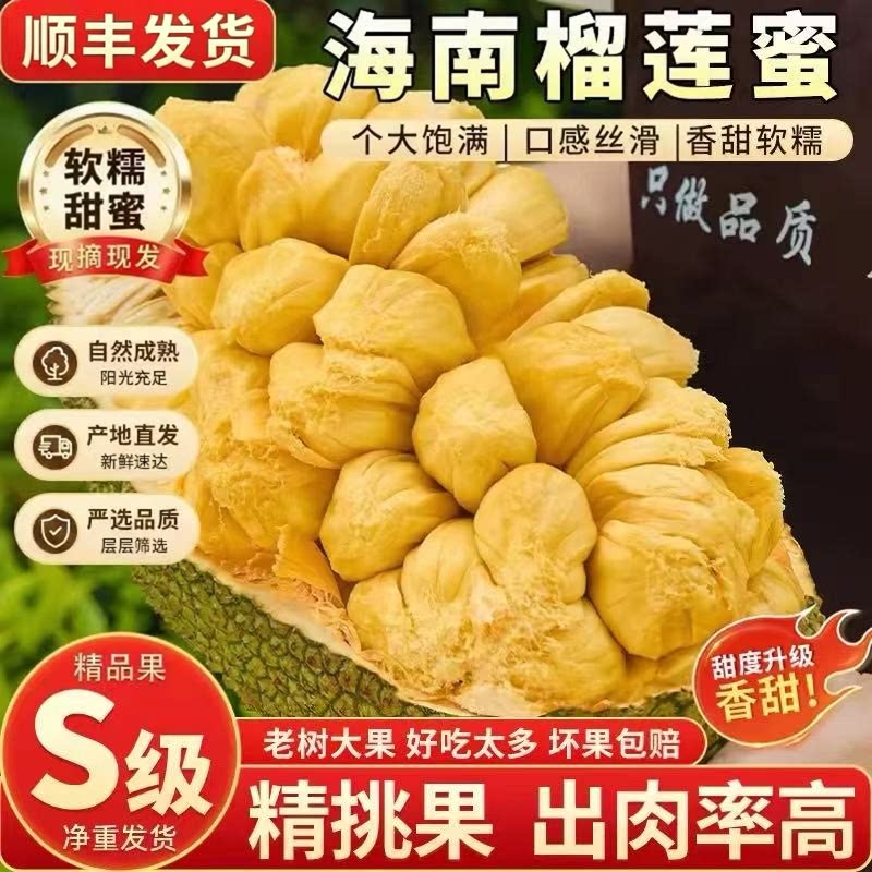 海南榴莲蜜树上熟现摘现发软糯香