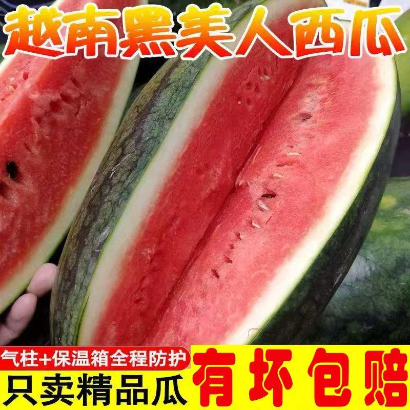 越南黑美人西瓜精品多汁新鲜水果沙瓤脆甜当季水果气柱保温箱防护,水产肉类/新鲜蔬果/熟食,西瓜,淘宝优惠券,粉丝福利购,淘宝优惠卷
