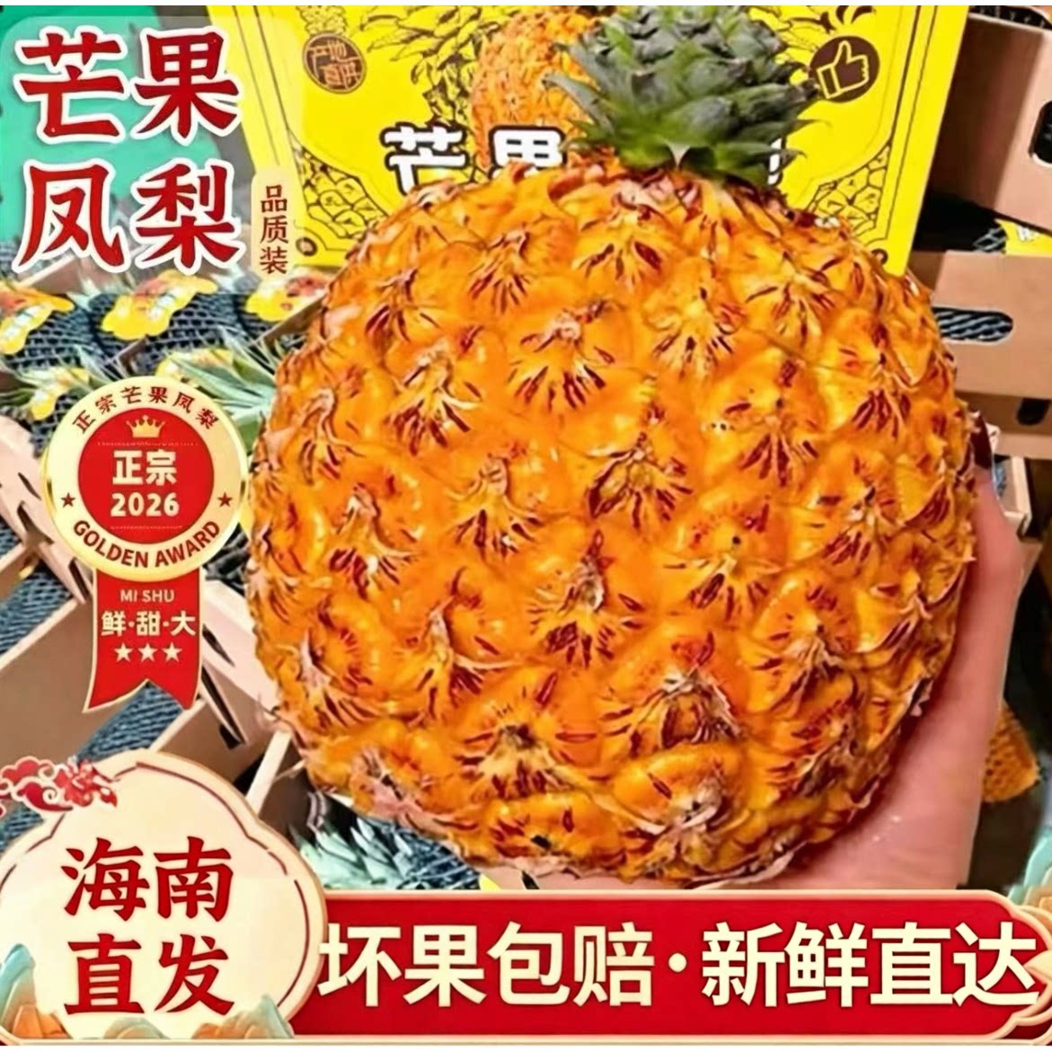 海南芒果凤梨台农23号品质树上熟