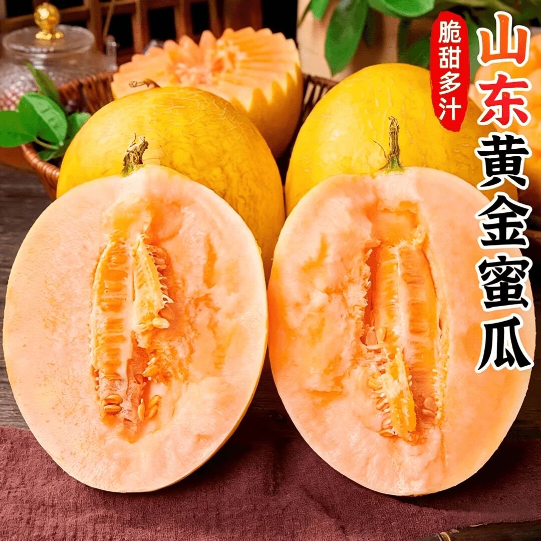山东黄金蜜瓜新鲜哈密瓜金色年华脆甜多汁哈密瓜一瓜一藤当季水果