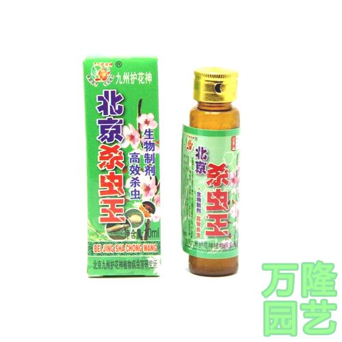 北京九州月季土壤园艺