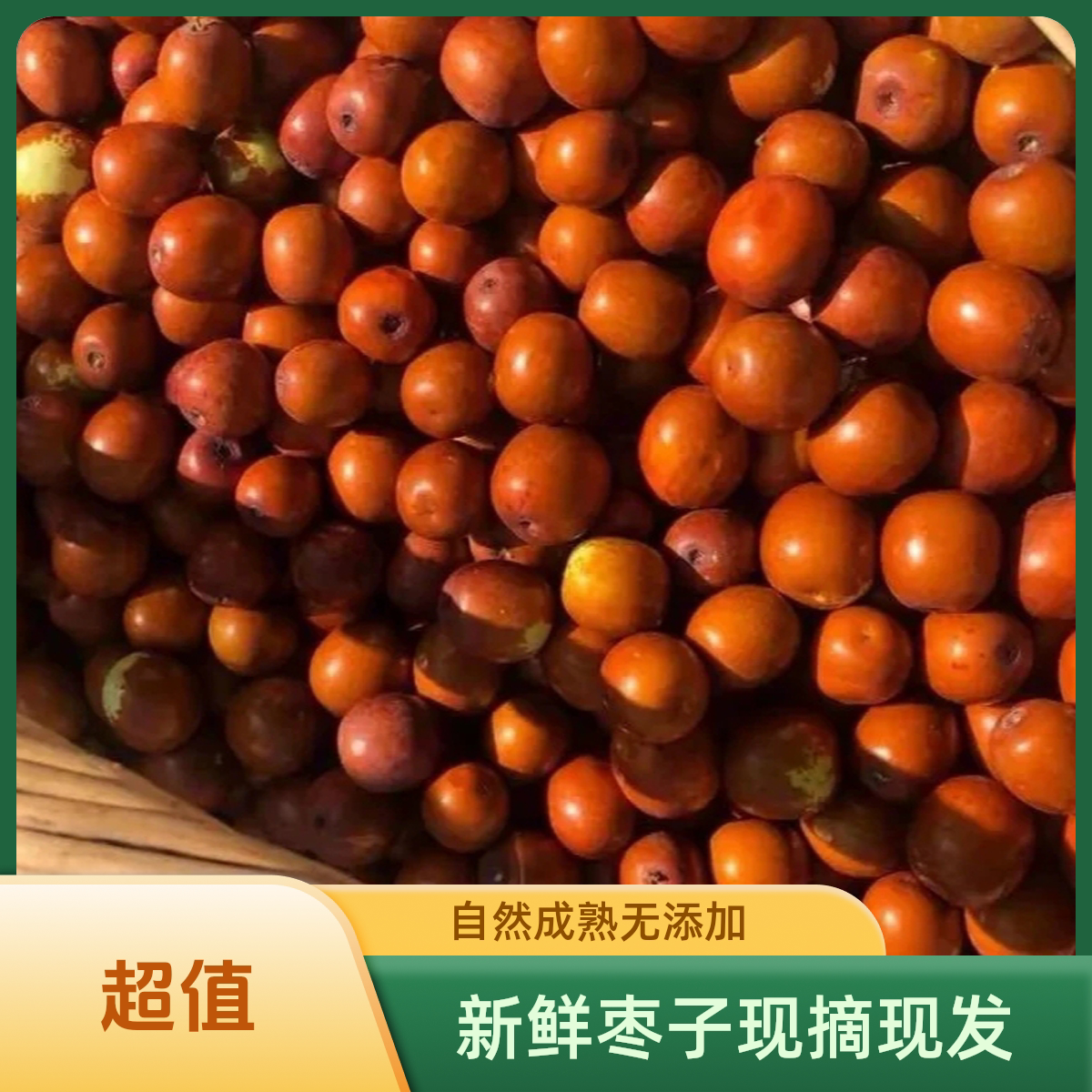 东北朝阳酸枣  自然树熟酸枣 酸枣脆枣现摘 怀旧零食 儿时的味道