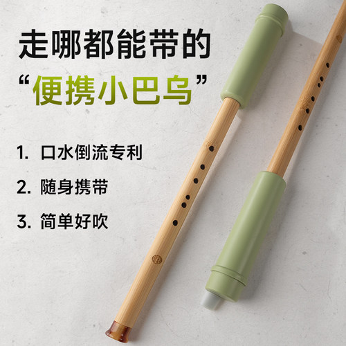 葫芦丝初学巴乌乐器降B调学生C调