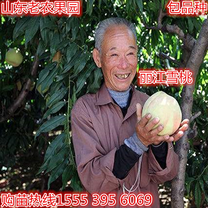 ¸ö´óÈâ´à